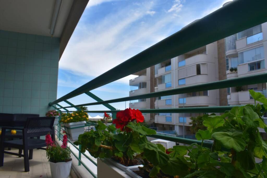 Donna Teresa Accomodation - Holiday House 모노폴리 외부 사진